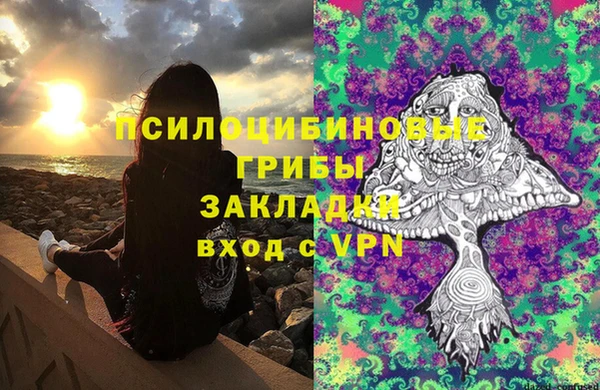 соль ск Бронницы