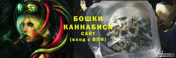 соль ск Бронницы