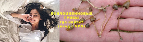 соль ск Бронницы