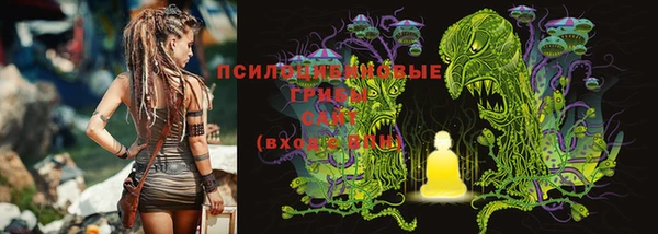 ПСИЛОЦИБИНОВЫЕ ГРИБЫ Бугульма