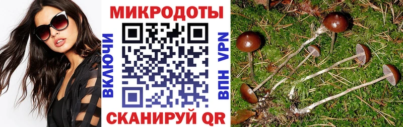 Купить Новороссийск Галлюциногенные грибы мицелий