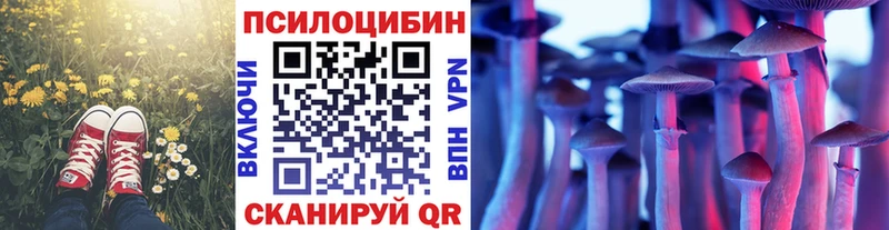 Псилоцибиновые грибы Cubensis Новороссийск